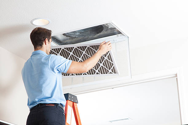 Best Air Filters and Purifiers in Ahwahnee, CA